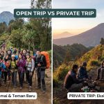 Open Trip vs Private Trip