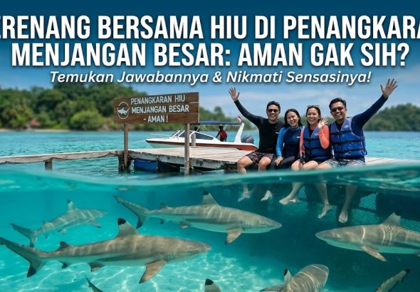 Berenang Bersama Hiu di Penangkaran Menjangan Besar: Aman Gak Sih?
